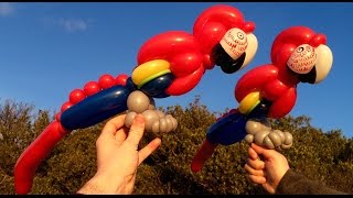 Balloon Twisting Lesson amp Tutorial 34 Parrot [upl. by Llenej715]