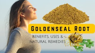 Secrets of Goldenseal Root Powder for Health and Healing [upl. by Arnulfo]