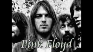 PINK FLOYD  Wearing The Inside Out Lyrics [upl. by Cerracchio]