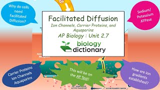 Facilitated Diffusion Ion Channels Carrier Proteins and Aquaporins  AP Biology 27 [upl. by Rolyks]