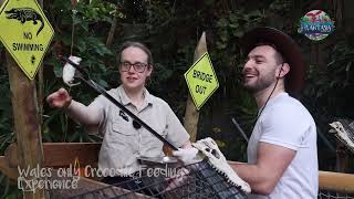 Have you tried Wales ONLY Croc Feeding experience At Plantasia Tropical Zoo [upl. by Letreece474]