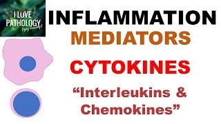 INFLAMMATION Part 6 Chemical Mediators CYTOKINES Interleukins amp Chemokines [upl. by Onidranreb]