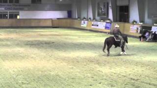 Deutscher Meister Reining 2011 Oliver Wehnes amp Lil Ruf Bandit Score 217 [upl. by Fanny]