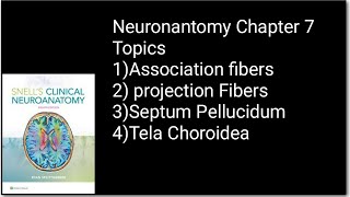 White Matter Of Cerebrum part 2Association fibersProjection FiberSeptum PellucidumTela Choroidea [upl. by Zackariah823]