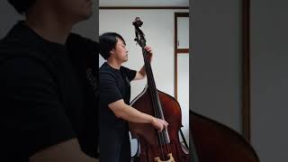 Bass Solo  Bassline of Jazz Standard quotArmandos RhumbaChick Coreaquot Double Bass Solo [upl. by Gainor]