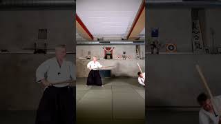 Hachi no kumijo  八の組杖  Aikido Virtual Dojo aikido iwama kumijo martialarts [upl. by Magnum]