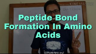 Peptide bond formation in Amino Acids [upl. by Anerev]