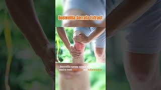 What is Boswellia Serrata Extract Boswellic acid Benefits [upl. by Arika314]