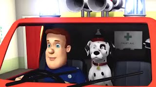 Sam il Pompiere italiano nuovi episodi 🚒 Il cane pompiere 🔥 Cartoni animati [upl. by Leachim]