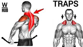 Trapezius Workout At Home  Back Wing Shoulder Exercises [upl. by Schou685]