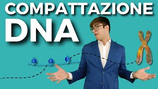 La compattazione del DNA in meno di 2 minuti [upl. by Daryl]