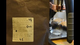 Carbonic Maceration Coffee Process Explained and tasted  feat Lee Dong Woo 이동우 Coffee Roasters [upl. by Llerej]