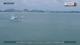 Un étonnant poisson volant pour le transport interinsulaire [upl. by Mllly646]