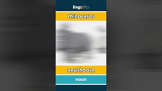 🇬🇧🇳🇱 rhinoceros  neushoorn  vocabulary builder  learn English  laten we Engels leren [upl. by Eillas]