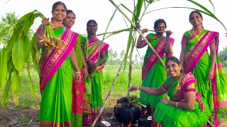 PONGAL CELEBRATION in Our Village  We celebrate Our Traditional Festival  Village Pongal Festival [upl. by Milda524]