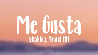 Me Gusta  Shakira Anuel AA Lyrics Video [upl. by Nyrad]