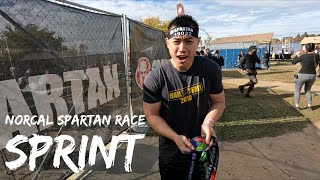 2024 Norcal Spartan Sprint 5K [upl. by Johnston]