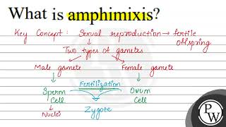 What is amphimixis [upl. by Drescher302]