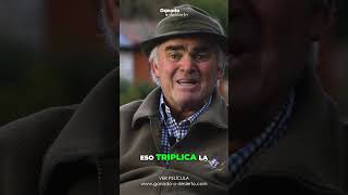 Paco Morgado Pastor Trashumante quotEl Redileoquot Documental quot Ganado o Desiertoquot Short [upl. by Aivonas]