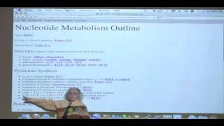 Kevin Aherns BiteSized Biochemistry 39  Nucleotide Metabolism I [upl. by Irrahs]