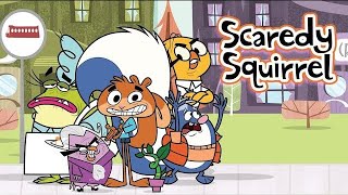 Scaredy Squirrel Season 1 Episode 11  The Coast is Fear The Madness of King Nutbar [upl. by Aerua]