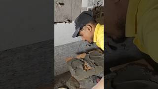 Bathroom wall tiles fitting 🚽🤔👍 floor tiles work ⚒️shorts viral trending [upl. by Enilrahc]