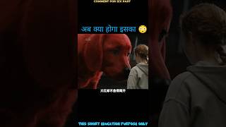 the big red dog full movie Explain in fifth part। reddog movie shorts [upl. by Mirna429]