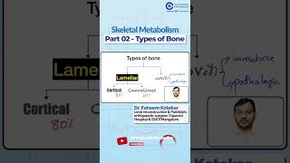 Types of Bone in Skeletal Metabolism By Dr Faheem kotekar  Orthopedic Residency [upl. by Maxy]