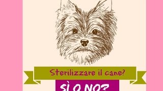 Sterilizzare il cane sì o no Pro amp contro della sterilizzazione del cane [upl. by Edwards]