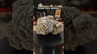 Rose des sables minerals stone collection information [upl. by Sitoeht]