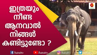 അപൂർവ്വം ചില ആന പിറവികളിൽ ഒന്നാണ് ഈ ഗജരാജൻ  Kongad Kuttisankaran  E4 Elephant  Kairali TV [upl. by Slin]