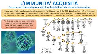 LIMMUNITA ACQUISITA [upl. by Ysac891]