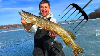 Darkhouse Spearing For Northern Pike Minnesota Ice Fishing [upl. by Karab470]