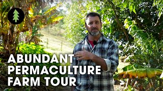 Beautiful 1Acre Small Scale Permaculture Property  Limestone Permaculture Farm Tour [upl. by Bazil395]