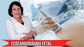 Ecocardiograma Fetal  EXAMES DE IMAGEM NA GESTAÇÃO [upl. by Cosette]