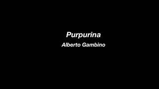 Purpurina  Alberto Gambino  Lyrics [upl. by Darill202]