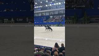 Cavaliada ujeżdżenie  Warszawa 2024 cavaliada horse equestrian dressage 🐎 [upl. by Beckman]