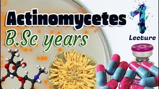 Actinomycetes  Characteristics  Importances  Identification BSc 3st year 🧫💊🔬 [upl. by Asiuol]