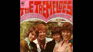 The Tremeloes  My Little Lady 1968 Single [upl. by Crowe]