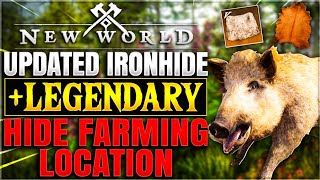 New World  Updated Patch 12 Ironhide amp Legendary Hide Farming Location  Fast Skinning Aptitude [upl. by Annaek778]