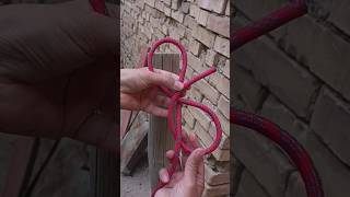 How To Tie a Constrictor Knot [upl. by Amaso]