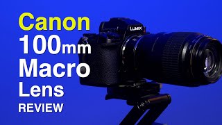 Canon EF 100mm F28 Macro USM Prime Lens Review [upl. by Shedd]