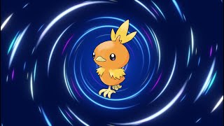 Torchic Evolution Line [upl. by Kary]