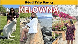 Things To Do In Kelowna BC  Canada 2024  VLOG [upl. by Trembly370]