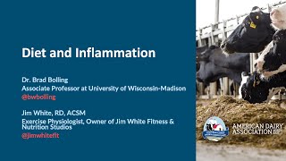 Diet and Inflammation A closer look at what the research shows [upl. by Yuille]