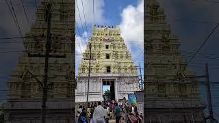 Ramanatha Swami Darshan shorts viralshort trend travel youtubeshorts ytshorts trending [upl. by Esirehc]