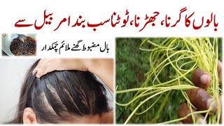 Effective Oil For Hair fall  Hair Fall Oil Banane Ka Tarika  Best Oil For Hair Fall And Regrowth [upl. by Ashbey]