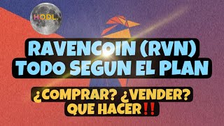 🚨 RAVENCOIN RVN🚨TRAS EL HALVING ¿QUE HACER⁉️ OS CUENTO MI ESTRATEGIA💥 [upl. by Wesle456]