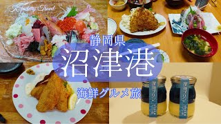 【沼津港】海鮮ぐるめ旅静岡県沼津市で地物のアジを食べ尽くす！ [upl. by Akemrehs]