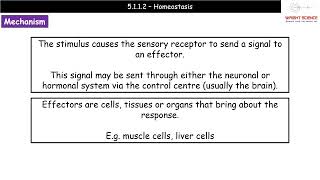 A Level Biology  5112  Homeostasis [upl. by Essined]